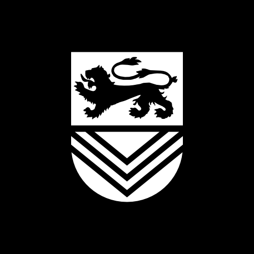 Example Image